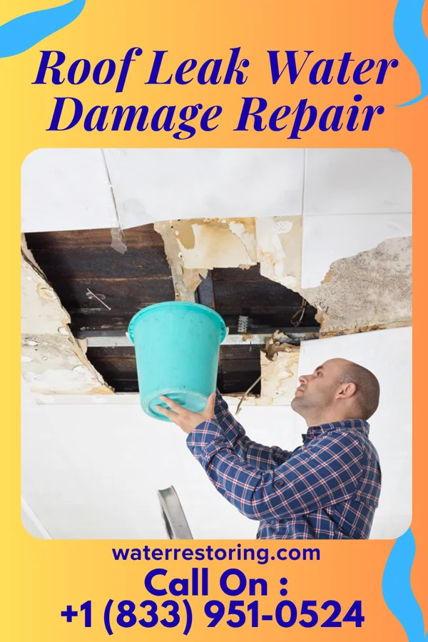 Roof Leak Water Damage Repair in Mojave Ranch Estates, AZ
